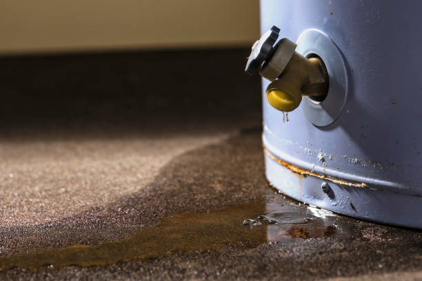 Best 24-hour water damage restoration  in Redgranite, WI