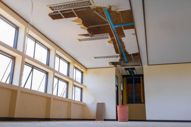 Best Residential water damage restoration  in Redgranite, WI