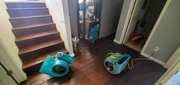 Best Flood damage cleanup  in Redgranite, WI