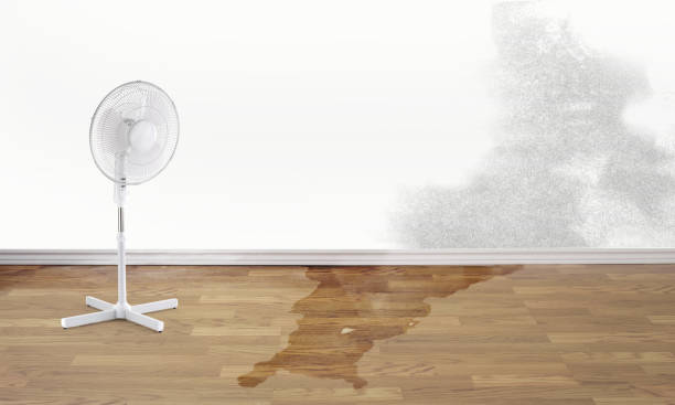 Best Water damage restoration near me  in Redgranite, WI