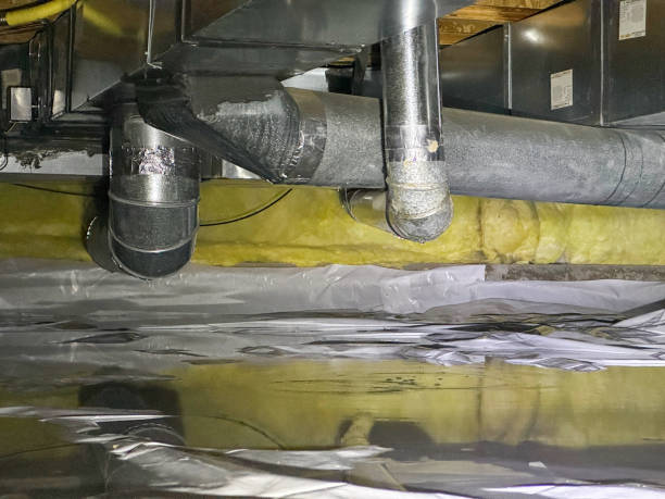 Best Mold removal after water damage  in Redgranite, WI
