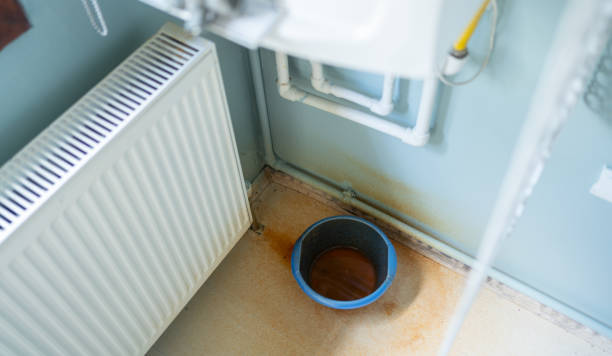 Best Mold removal after water damage  in Redgranite, WI